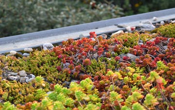 the cost of Westy green roof installation