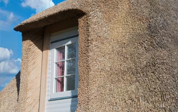 Westy thatch roof disadvantages