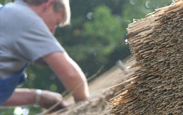 professional Westy thatchers