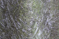 Westy fibreglass roof work